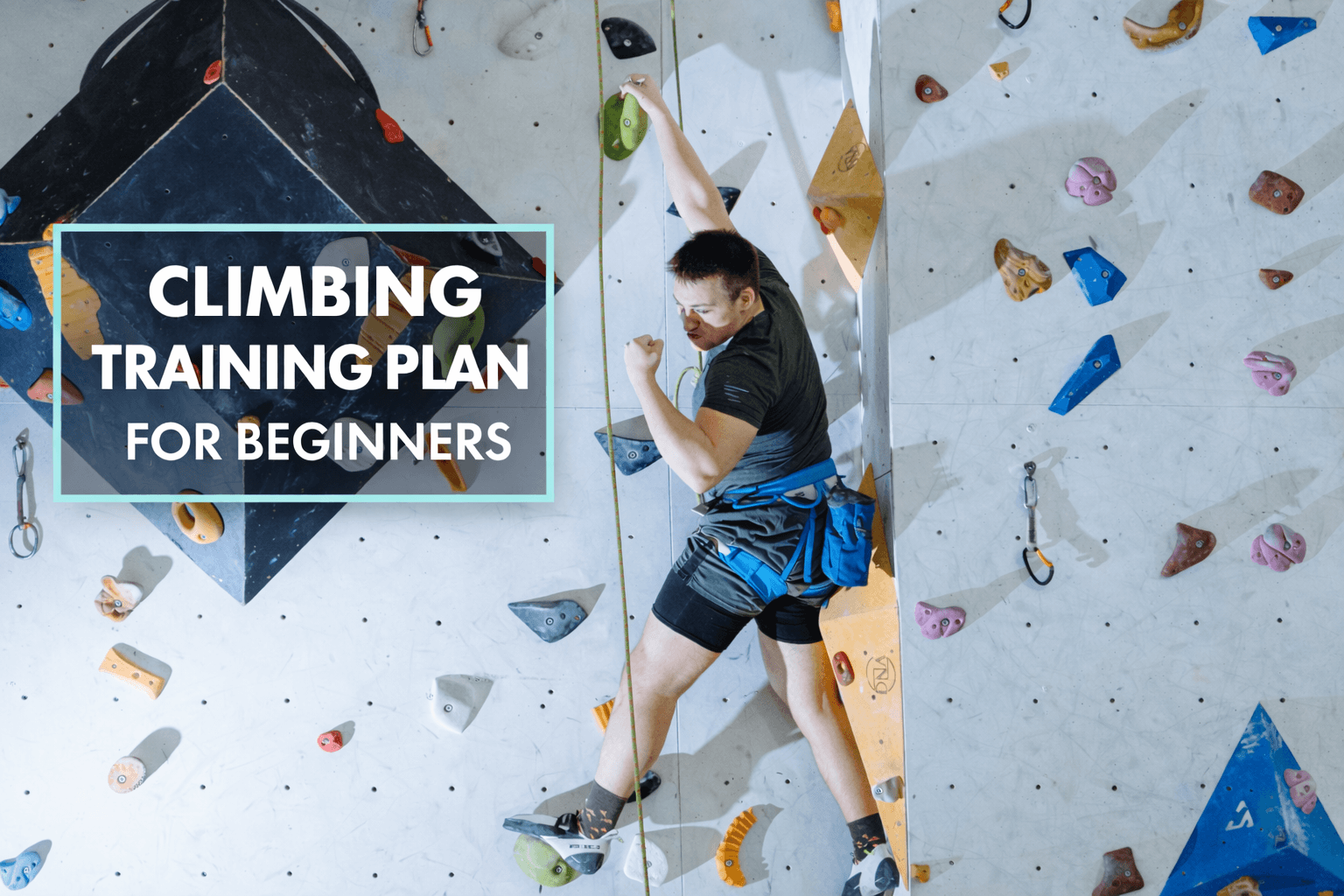 Beginner climber following a climbing training plan on an indoor wall.
